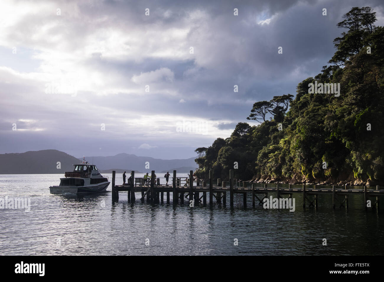 Nave's Cove nel Marlborough Sounds, Nuova Zelanda. Foto Stock