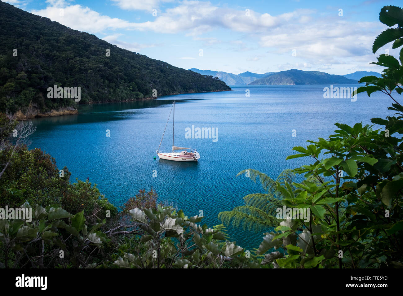 Una barca ancorata al Marlborough Sounds, Nuova Zelanda Foto Stock