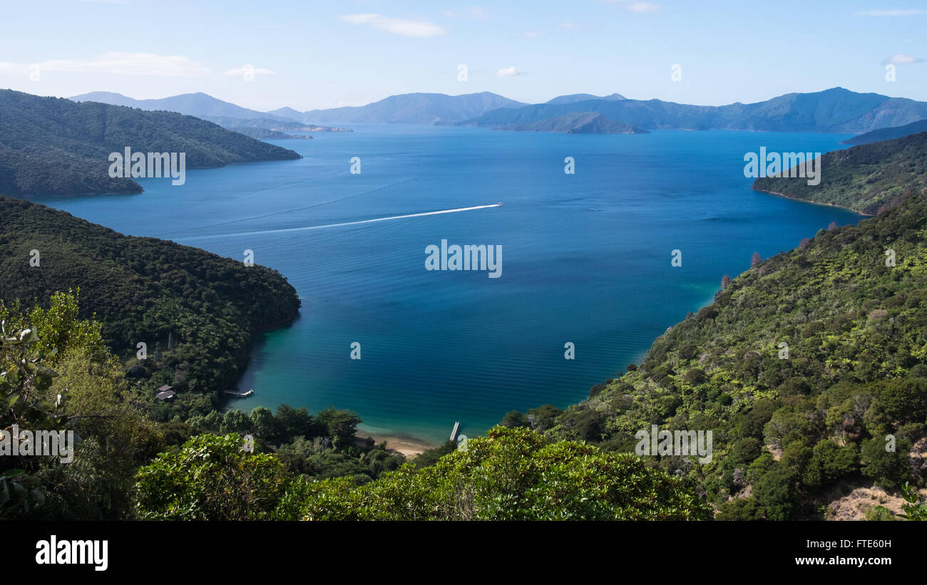 Il Marlborough Sounds in Nuova Zelanda Foto Stock