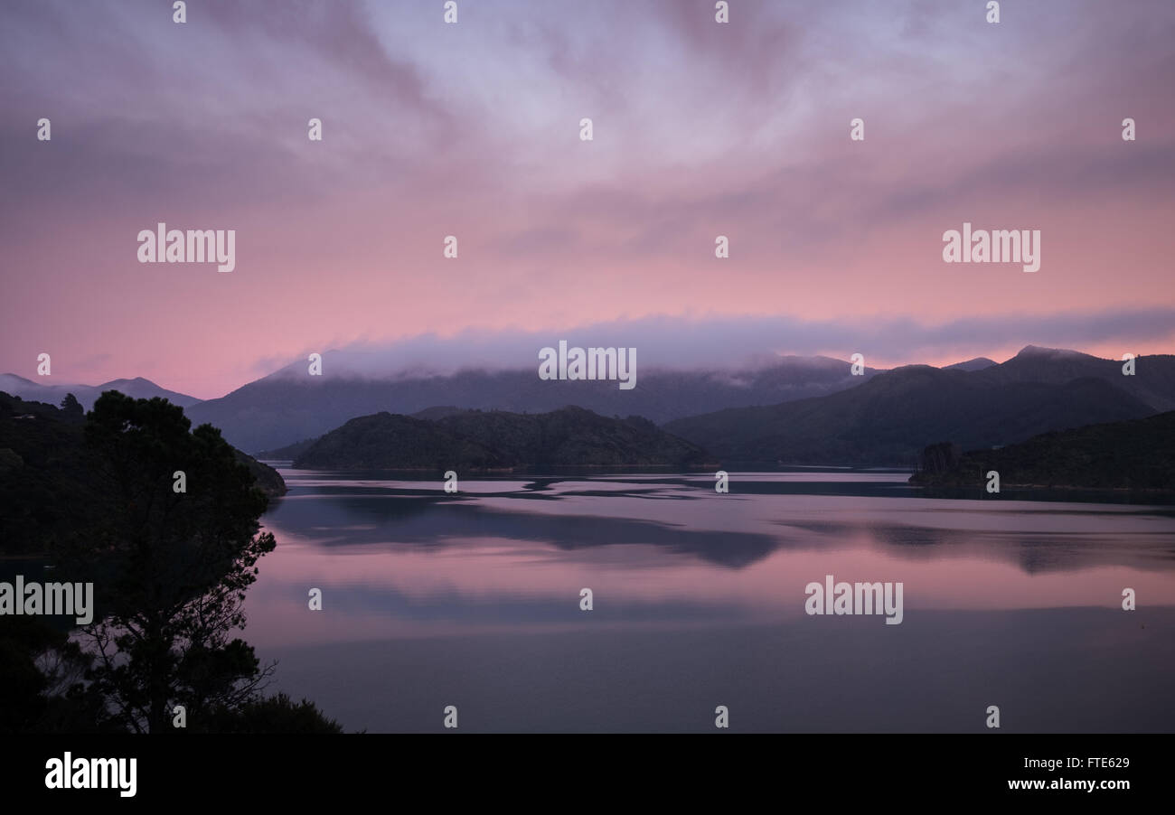 Il Marlborough Sounds in Nuova Zelanda Foto Stock