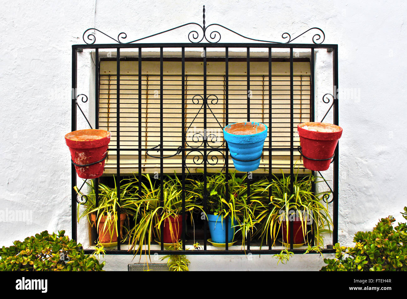 Colorati vasi di piante poste sulla finestra. Foto Stock
