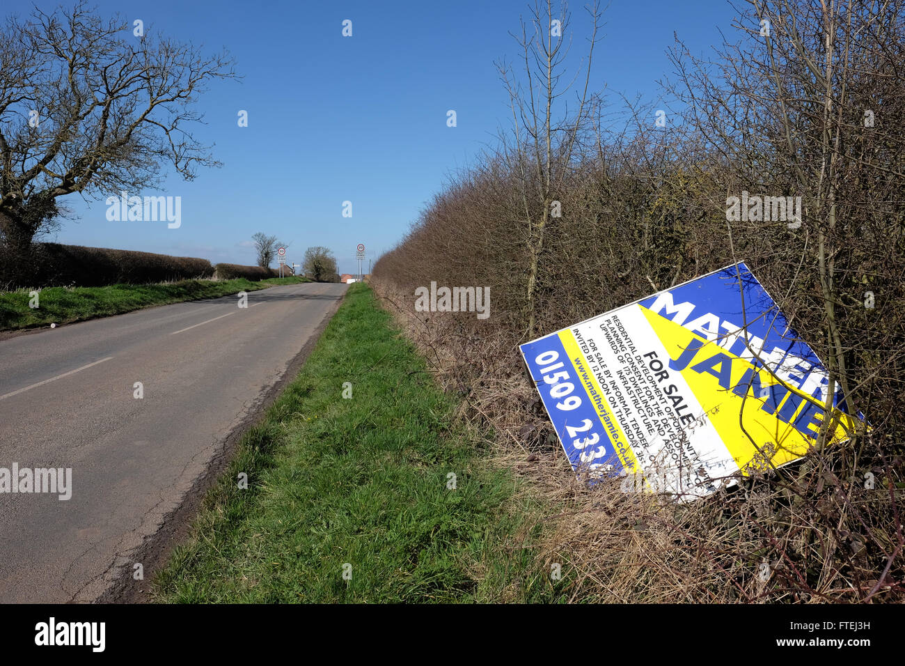 Agenti immobiliari segno nella siepe Foto Stock