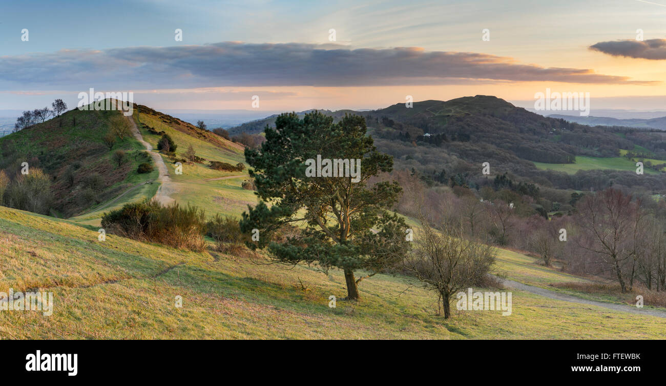Black Hill, parte della Malvern Hills, le catture degli ultimi della luce solare come il sole tramonta su Worcestershire. Foto Stock