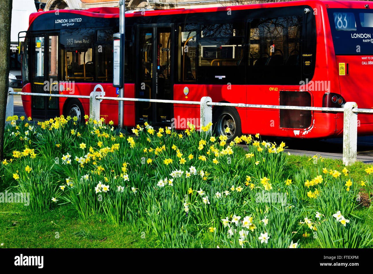 Barnes Village,cibo,bar,negozi,agenti immobiliari,Barnes Pond,verde,pub,tori testa Jazz Venue,fiume Thames, High Street, London, Regno Unito Foto Stock