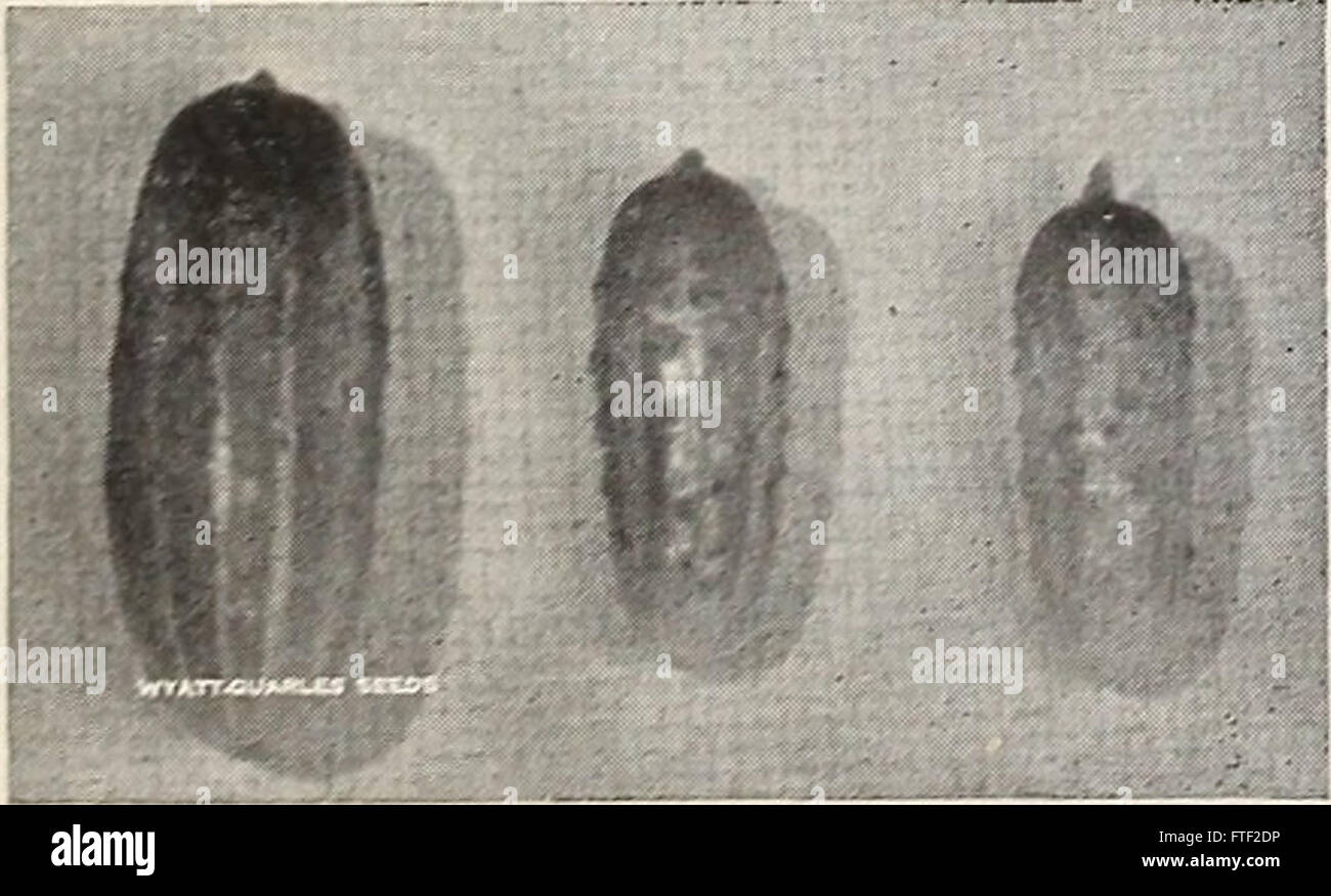 Il catalogo di primavera 1964 contiene elenchi di prodotti, aggiornamenti sul merchandising disponibile e informazioni sui servizi offerti dall'azienda, che catturano le tendenze del periodo. Foto Stock