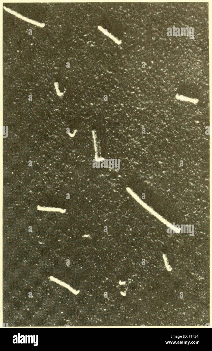 "Classic Papers in Genetics" (1959) compila la ricerca di base nel campo della genetica, offrendo approfondimenti chiave sui modelli ereditari, sull'evoluzione genetica e sulle prime scoperte genetiche che hanno plasmato la biologia moderna. Foto Stock