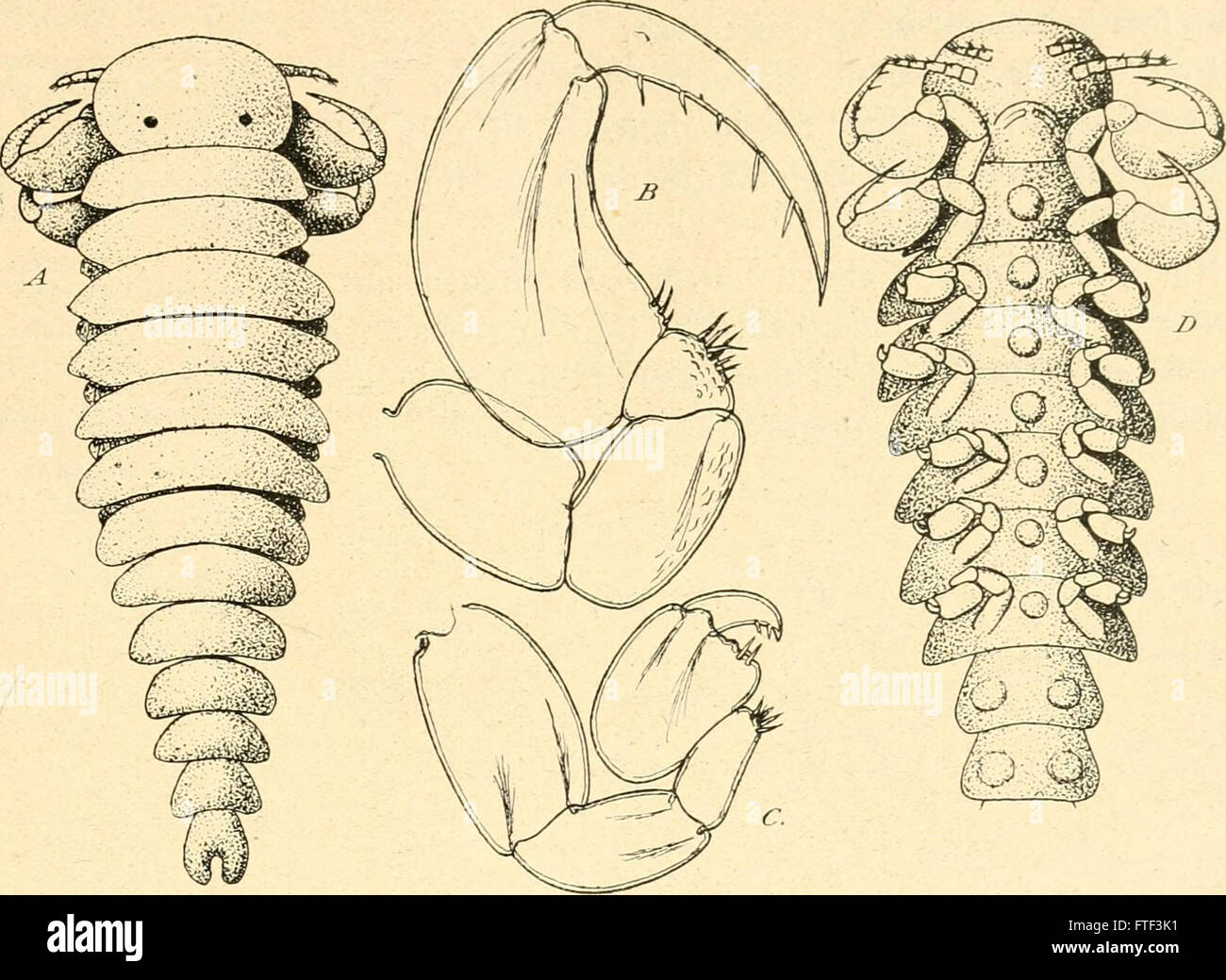 Questa pubblicazione del 1921 presenta i rapporti settimanali dell'Accademia francese delle scienze. Include i risultati della ricerca, le discussioni scientifiche e le innovazioni in varie discipline. Foto Stock