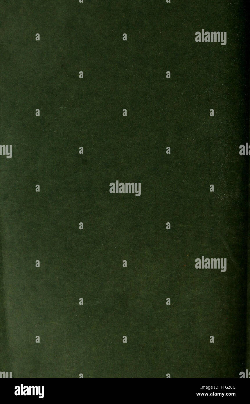 Un'opera del 1920 che descrive la politica interna della monarchia asburgica dal 1848 fino al crollo dell'impero, offrendo una prospettiva storica sulle questioni politiche che hanno portato al declino dell'impero. Foto Stock