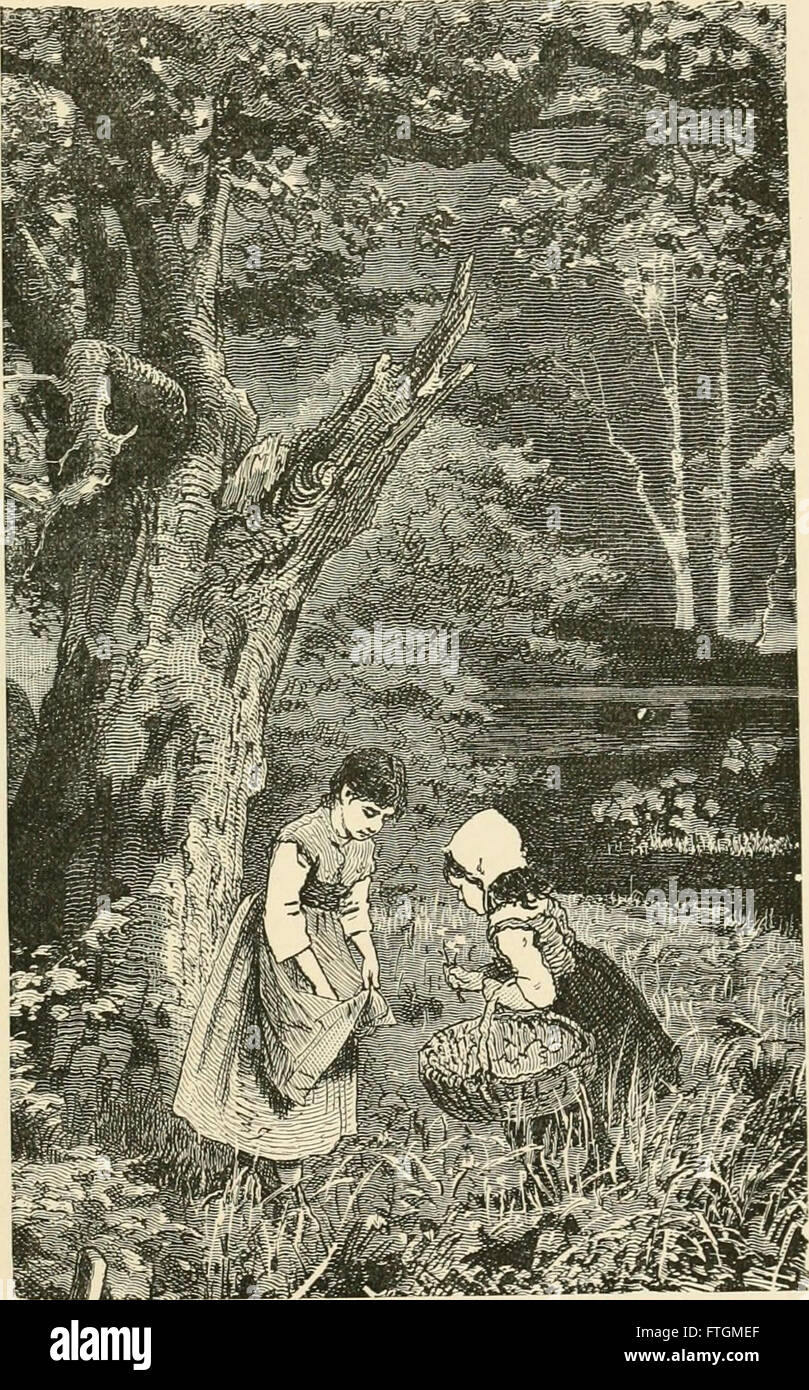 Un libro del 1889 che offre una raccolta di letture e illustrazioni progettate per gli studenti delle scuole domenicali, che unisce l'educazione religiosa all'apprendimento visivo. Foto Stock