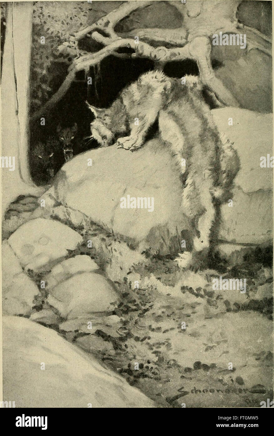 Outing (1885) era un periodico che si concentrava su attività all'aperto, viaggi e sport. Ha messo in evidenza il tempo libero e l'avventura nella natura, fornendo ai lettori un senso di esplorazione e avventura attraverso varie destinazioni e attività all'aperto. Foto Stock