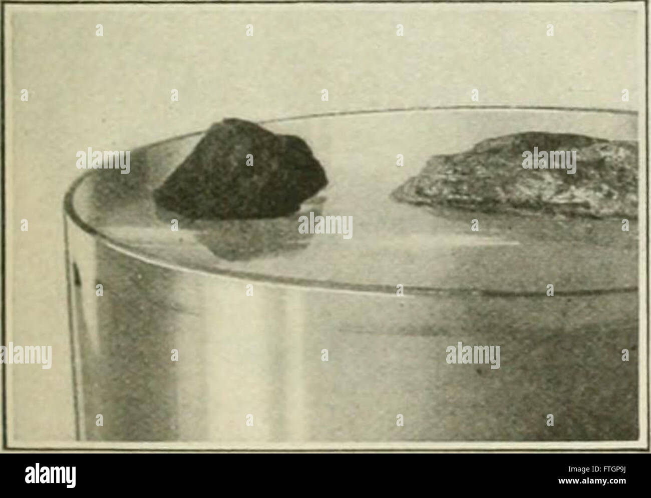 *Popular Science Monthly* (1872) è stato un periodico che ha esplorato i progressi scientifici e gli sviluppi in vari campi tra cui la biologia, la fisica e la tecnologia, offrendo una visione del clima intellettuale dell'era. Foto Stock