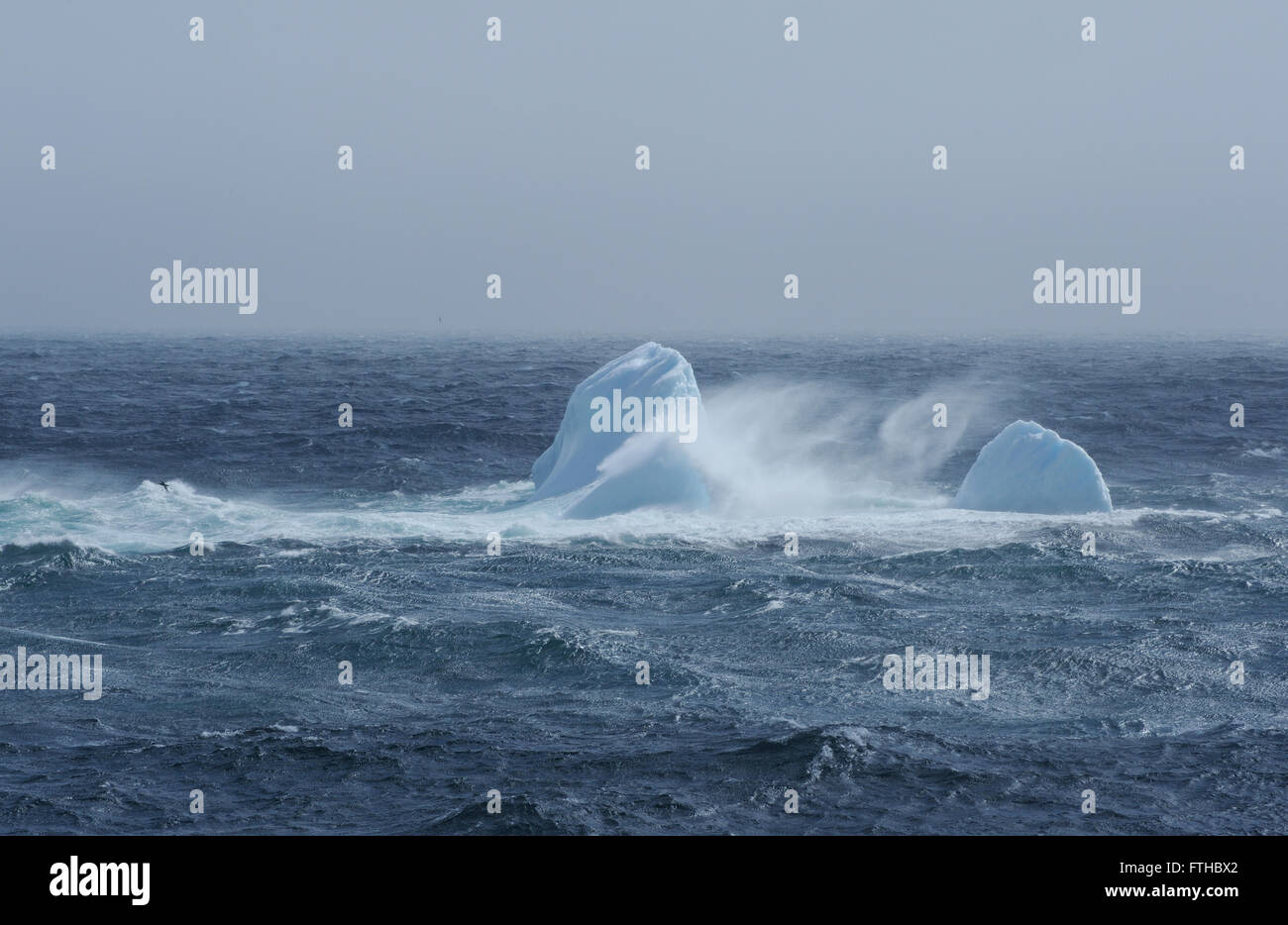 Ice floes in un mare in tempesta. Saunders Island, Isole Sandwich del Sud. A sud dell'Oceano Atlantico. 25Feb16 Foto Stock