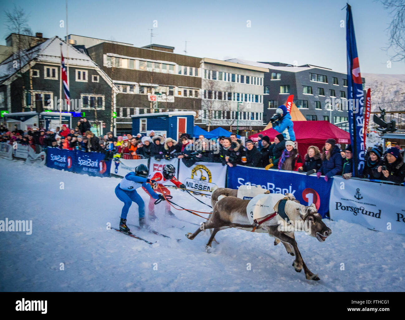 Tromso renne racing 2016 Foto Stock