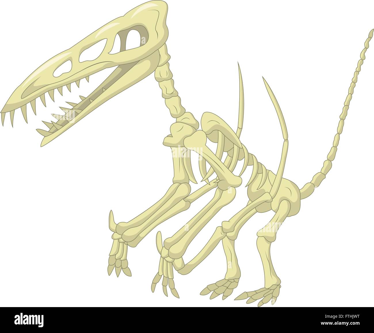 Scheletro Pteronodon Illustrazione Vettoriale