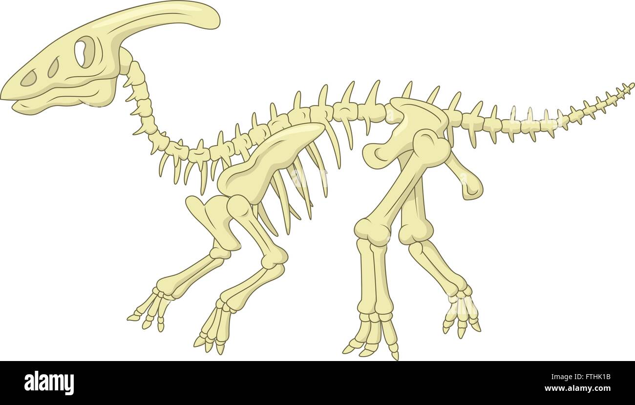 Lo scheletro di Parasaurolophus Illustrazione Vettoriale