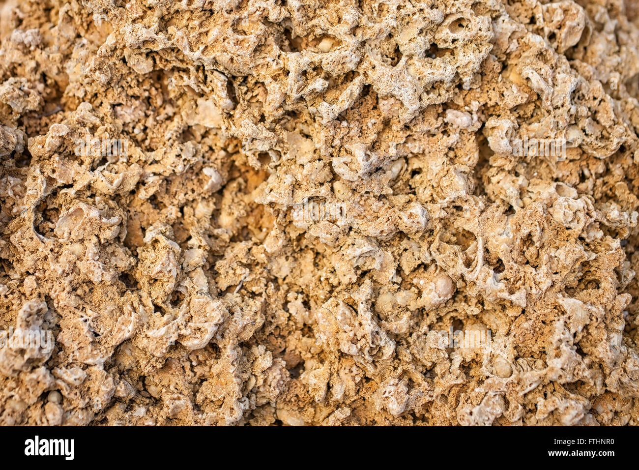 La consistenza dei blocchi di calcare closeup Foto Stock