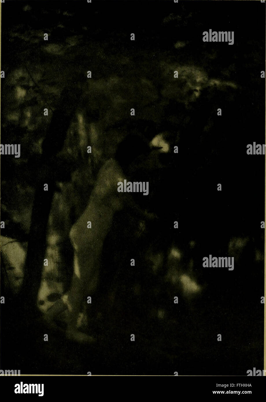 L'edizione 1919 di *The American Annual of Photography* mostra i progressi nella tecnologia e nelle tecniche fotografiche, con immagini di alta qualità e sviluppi del settore. Foto Stock