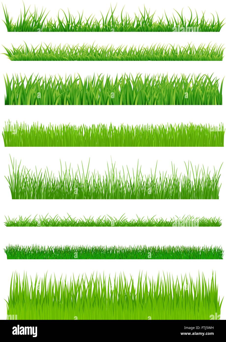 Erba verde set. illustrazione vettoriale Illustrazione Vettoriale
