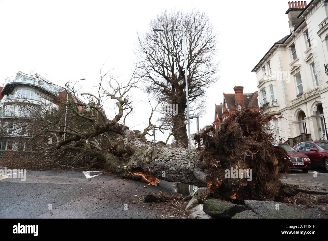 Un albero caduto stabilisce attraverso la strada principale in Brighton dopo tempesta Katie ha colpito la Gran Bretagna per tutta la notte. Marzo 28, 2016. James Boardman / Immagini teleobiettivo +44 7967 642437 Foto Stock