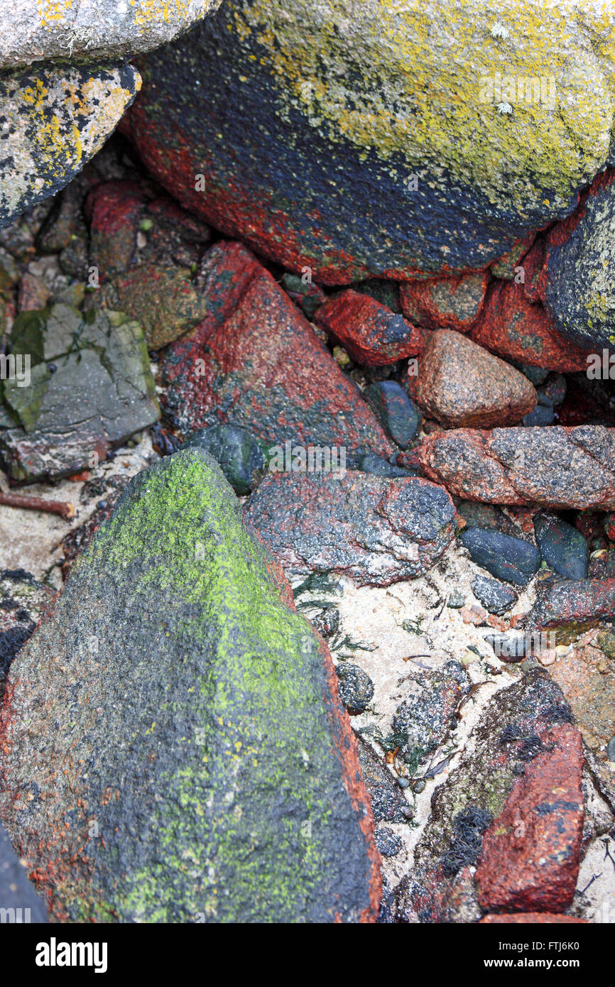 Colorato in rosso, verde, giallo e nero rocce di granito ha rivelato a bassa marea sulla Isle of Mull su la costa ovest della Scozia Foto Stock