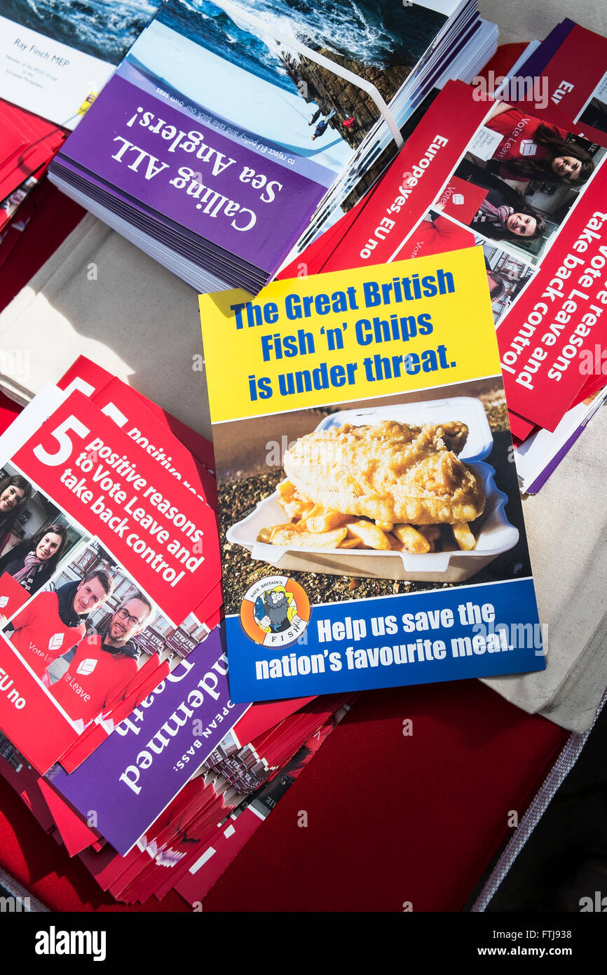 Il BRET - una varietà di opuscoli di supporto del Regno Unito uscire dall'Unione europea. Foto Stock