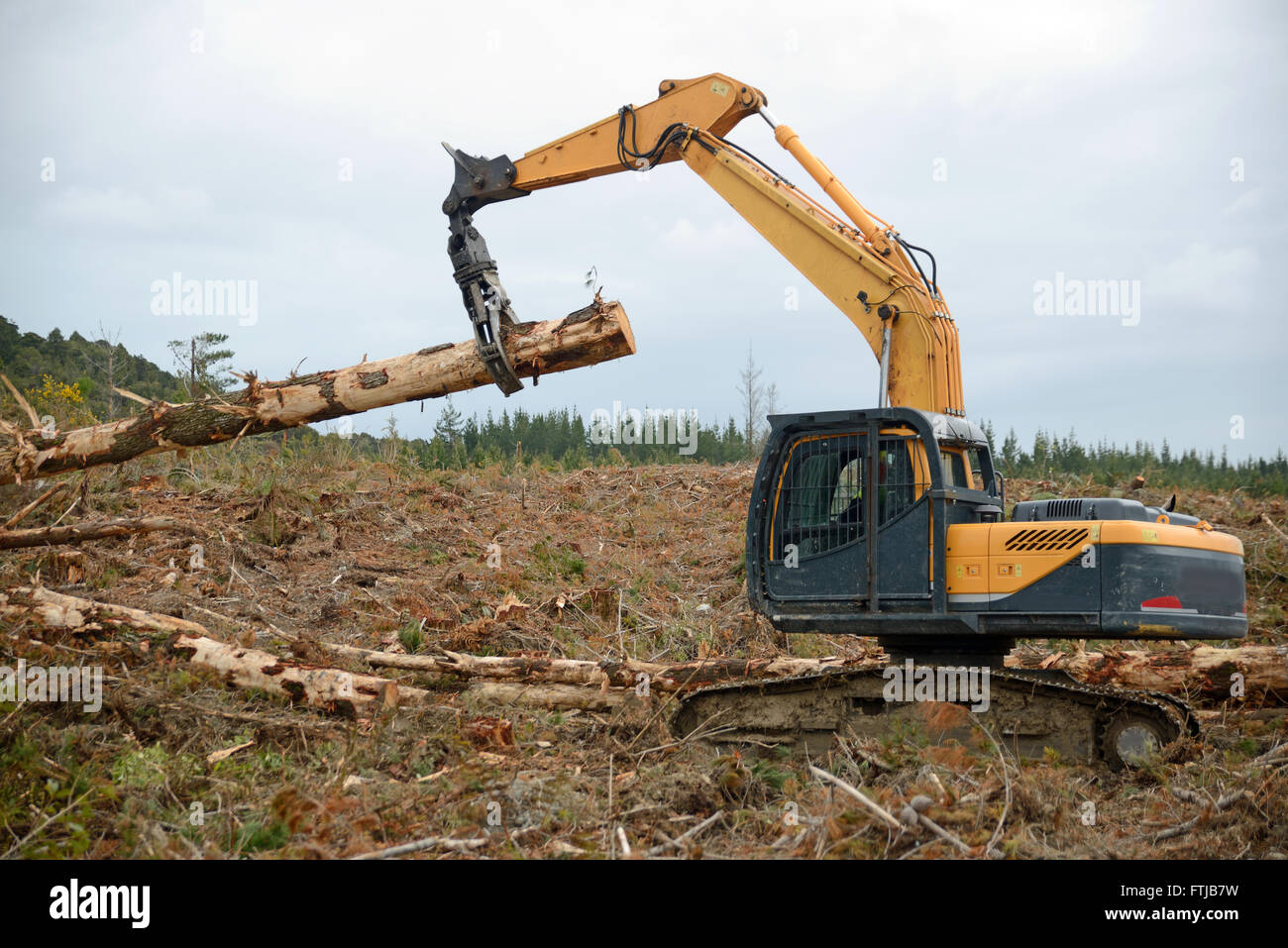 Un escavatore con una griffa si muove un Pinus radiata log in corrispondenza di un sito di fresatura nella foresta esotica sulla costa ovest Foto Stock