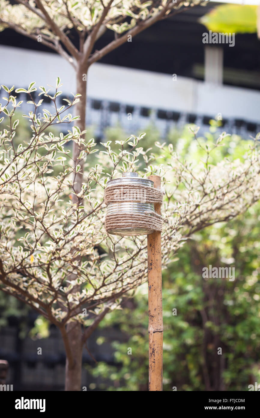Lampadina a candela nel giardino, stock photo Foto Stock