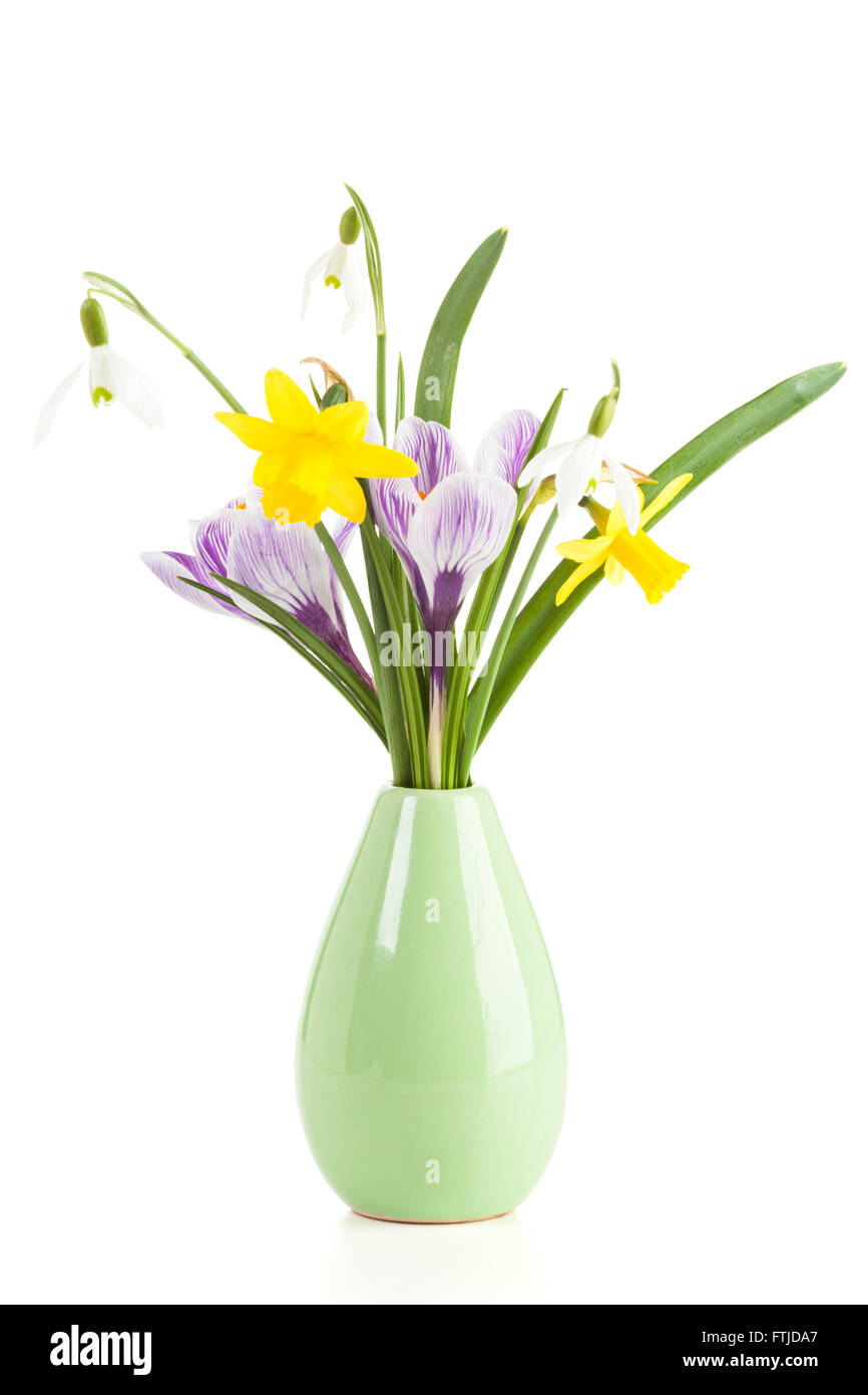 Fioritura primaverile fiori in piccolo vaso verde isolato su sfondo bianco Foto Stock