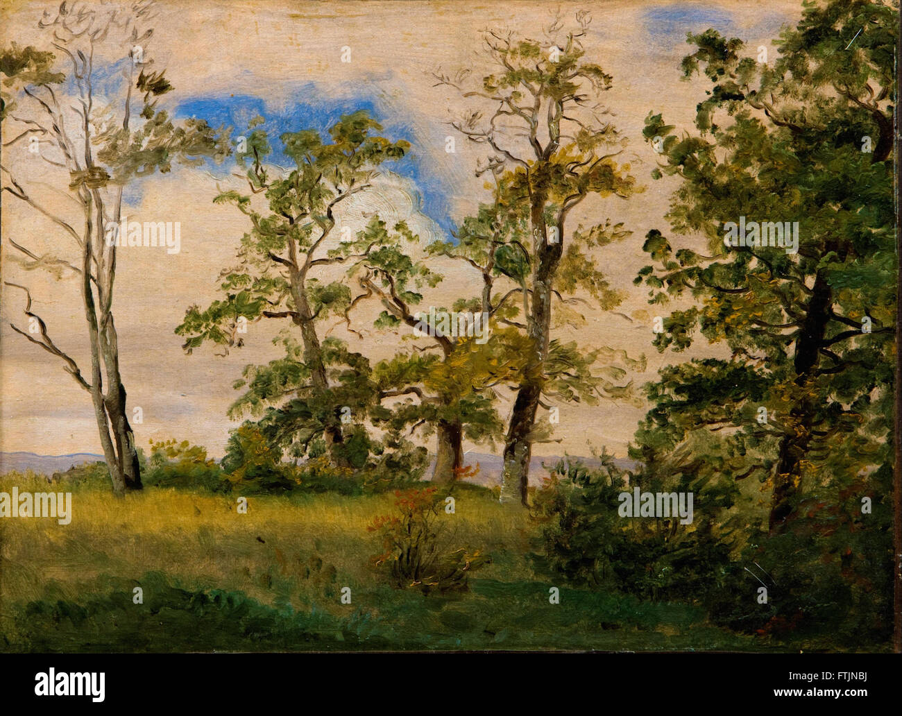Dreyer Dankvart - Paesaggio con free-standing alberi - La Collezione Hirschsprung Foto Stock