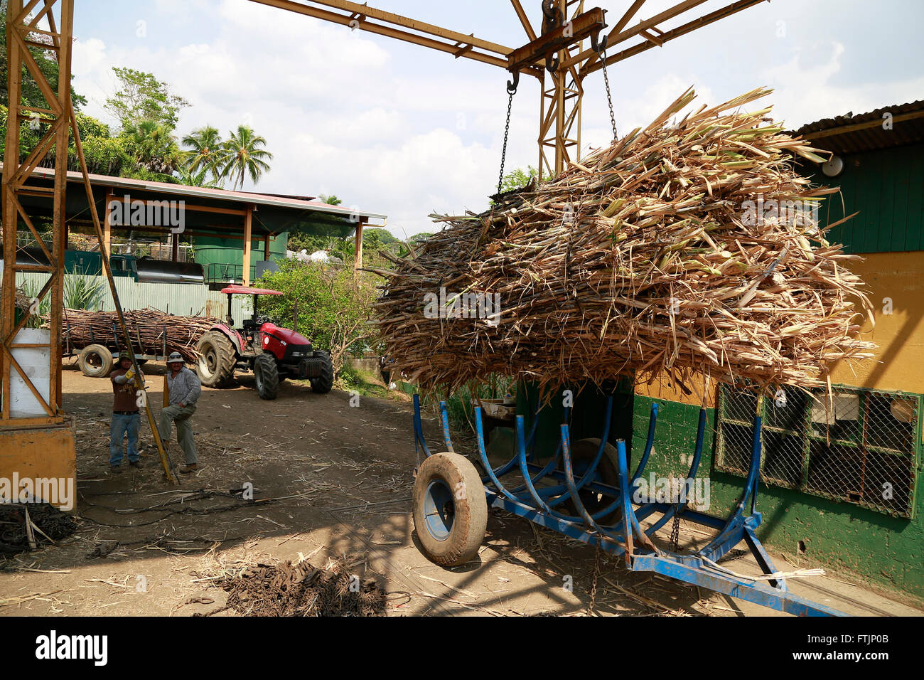 Tacares, Costa Rica. 28 Mar, 2016. Un lavoratore pesi di canne da zucchero in una piantagione vicino Tacares, nella provincia di Alajuela, Costa Rica, 28 marzo 2016. Secondo il Cibo ed Organizzazione di Agricoltura (FAO) delle Nazioni Unite, l'agricoltura primaria del Costa Rica si diversifica nel caffè, banane, breve ciclo di colture, all'allevamento per la carne e i prodotti lattiero-caseari, e conti per il 12 percento del prodotto nazionale lordo (PNL). © Kent Gilbert/Xinhua/Alamy Live News Foto Stock