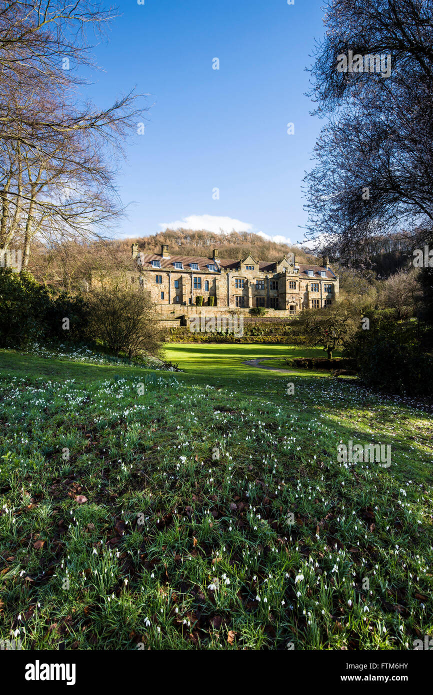 Snowdrop tempo a Mount Grace Priory cavallo di ponte in prossimità di Northallerton, North Yorkshire. Mount Grace House in background Foto Stock