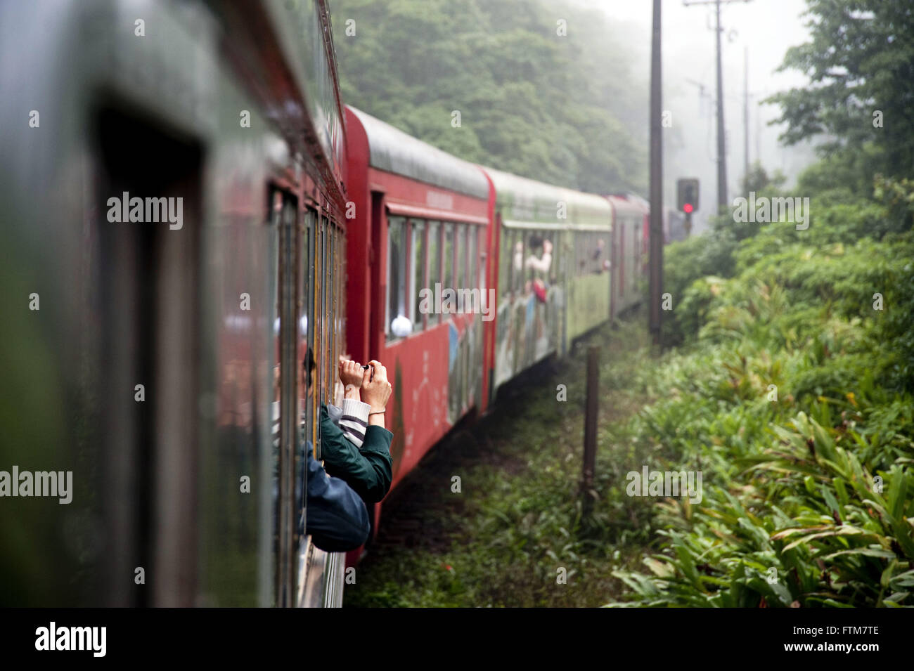 Treno turistico noto come Serra Verde Express collega Morretes Coritiba Foto Stock