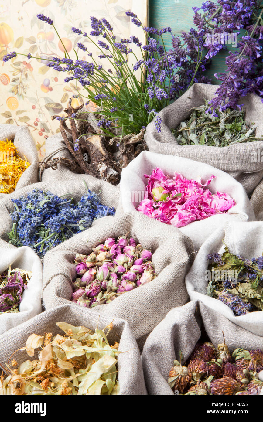 La guarigione di erbe mediche in un lino sacchi Foto Stock