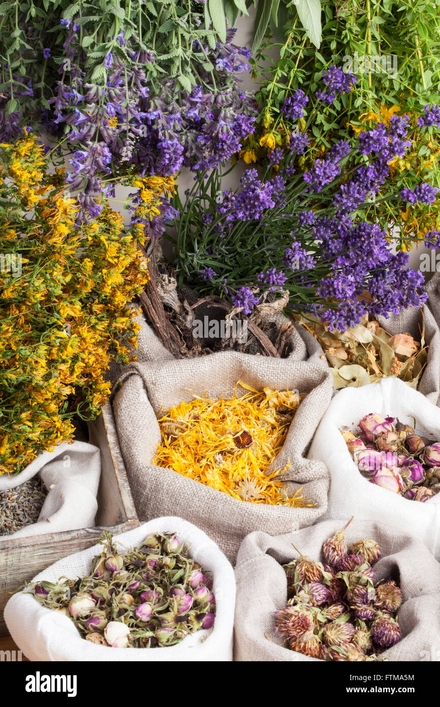 La guarigione di erbe mediche in un lino sacchi Foto Stock