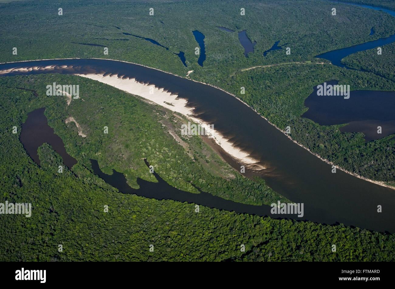 Vista aerea del Rio Javaes - Araguaia National Park - Isola di piantagione di banane Foto Stock