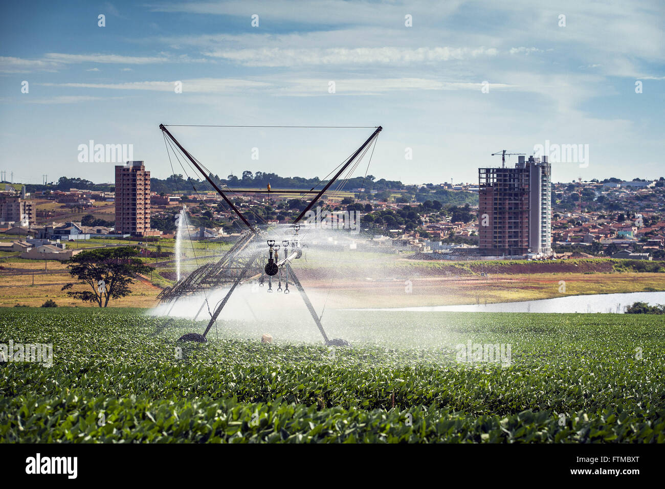 Irrigato campo di soia con centro di rotazione in campagna Foto Stock