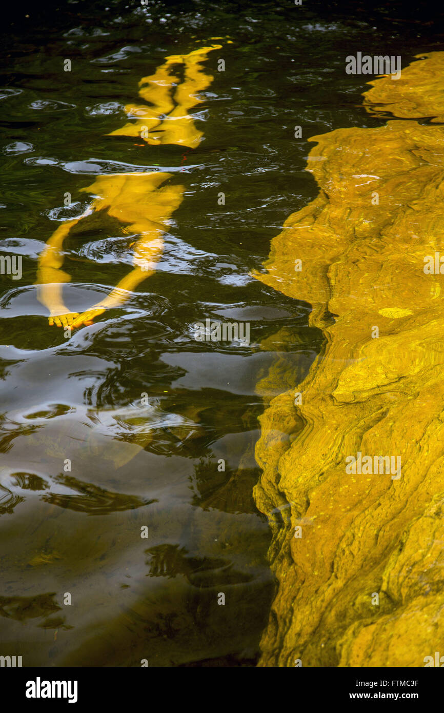Ecoturista nel fiume Mucugezinho acqua nella Chapada Diamantina Foto Stock