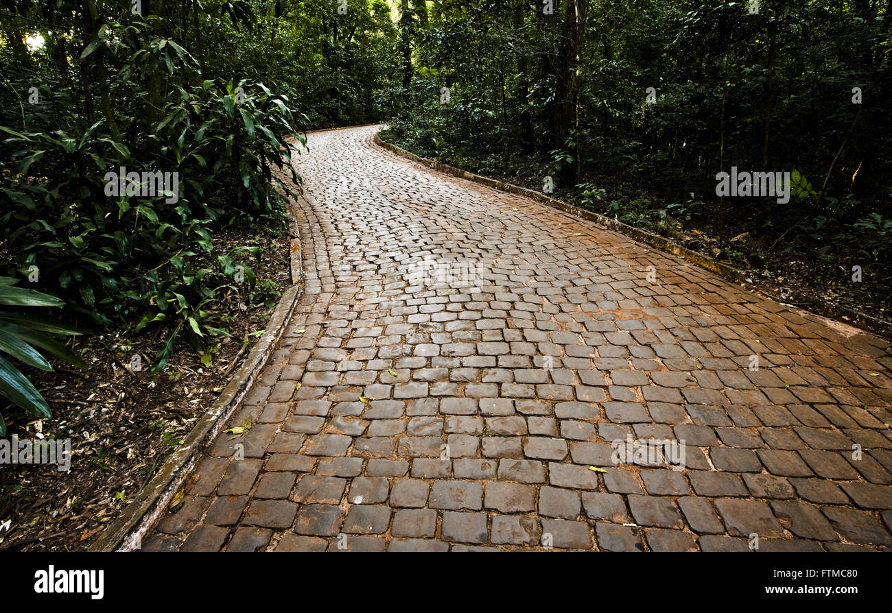 Inga Parco Comunale di Maringá. Foto Stock