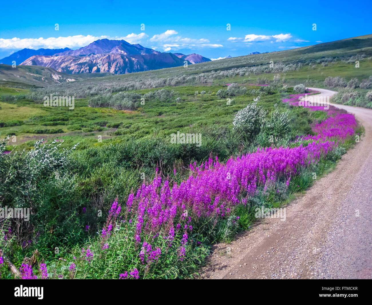 Parco Nazionale di Denali Foto Stock