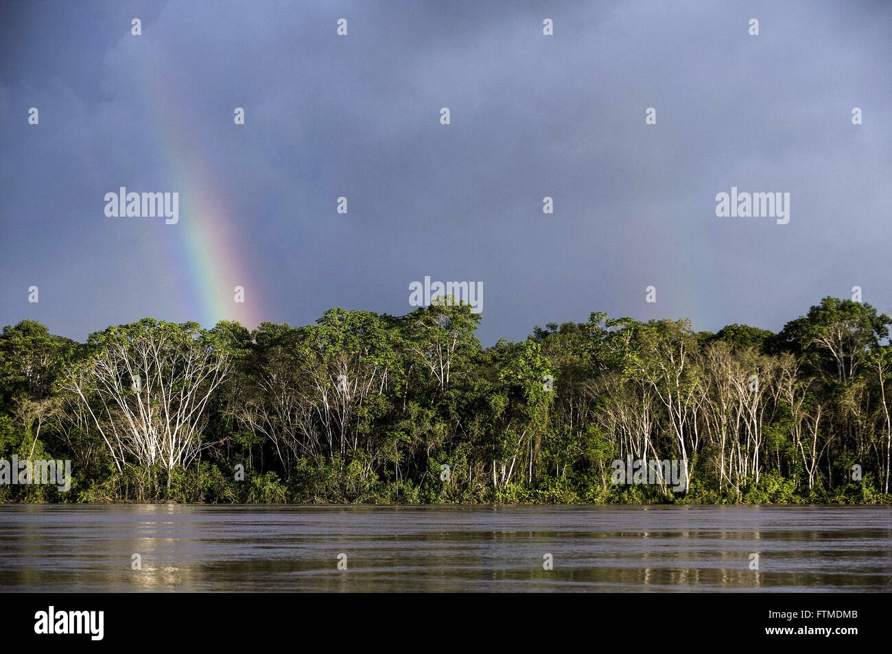 Vista del Rio Purus con rainbow in background durante il tardo pomeriggio Foto Stock