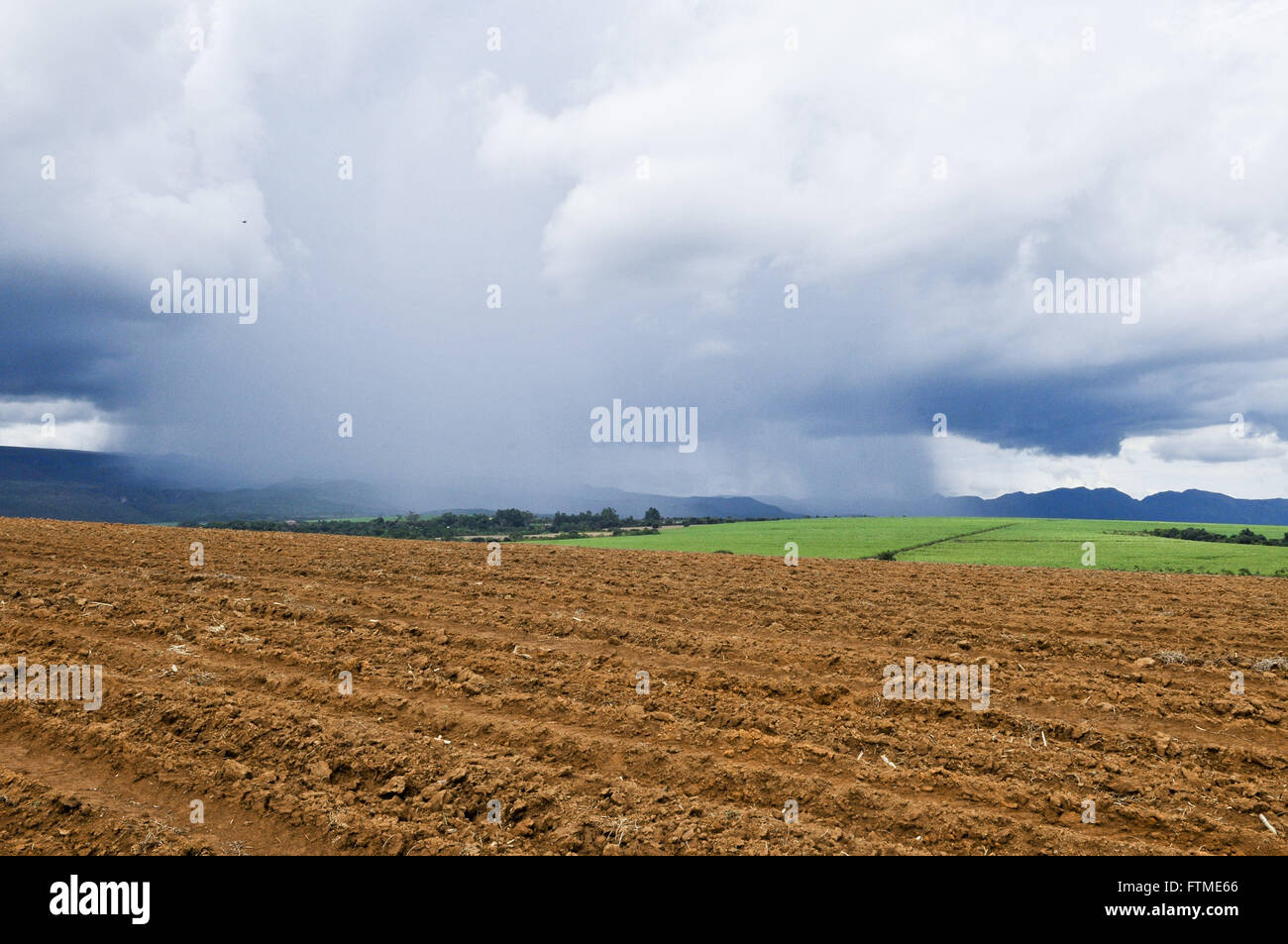 La pioggia della campagna con le piantagioni di canna da zucchero e della Serra da Canastra incidentali Foto Stock