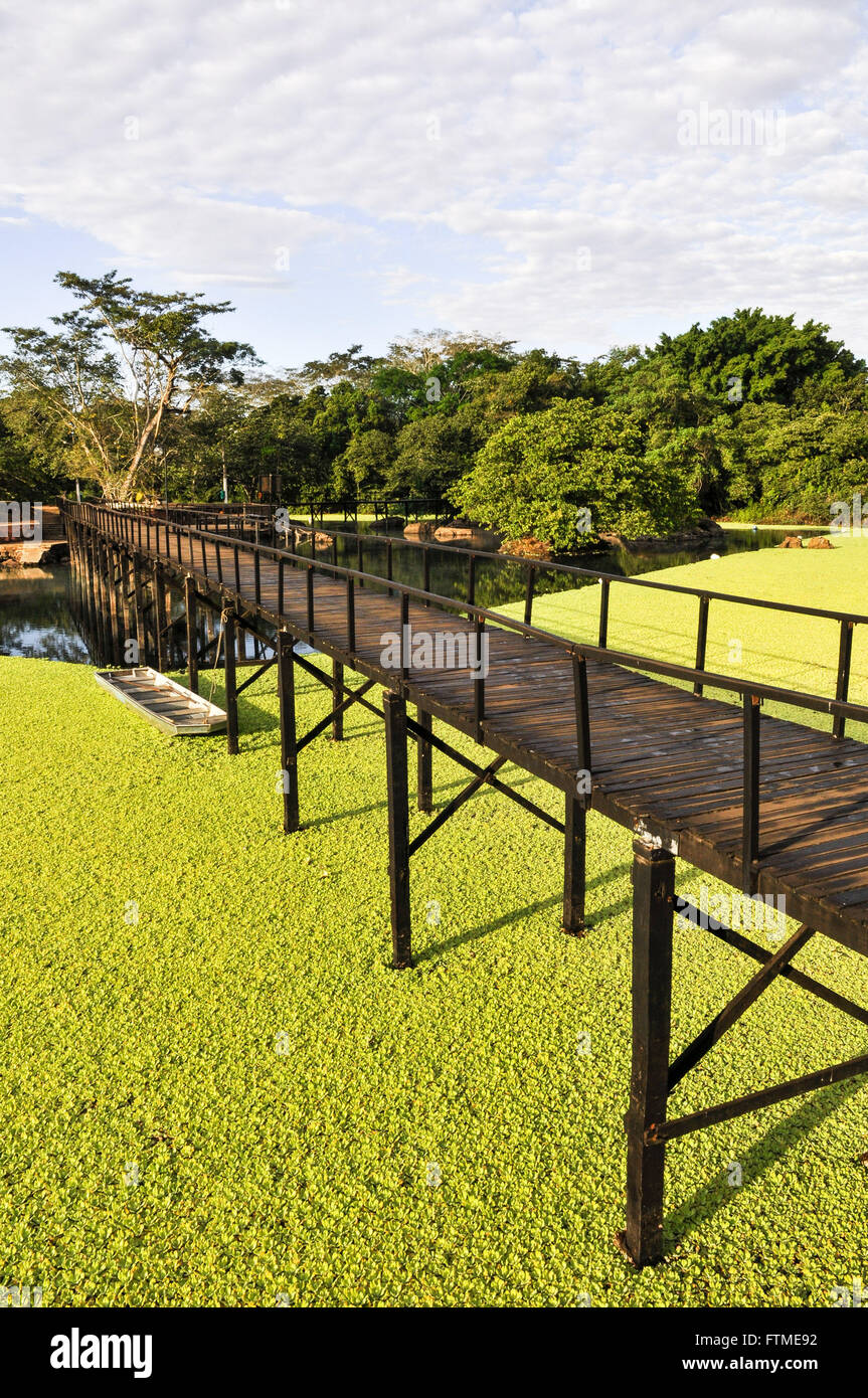 Vegetazione acquatica e la passerella di legno in Balneario de Lagoa Santa Foto Stock