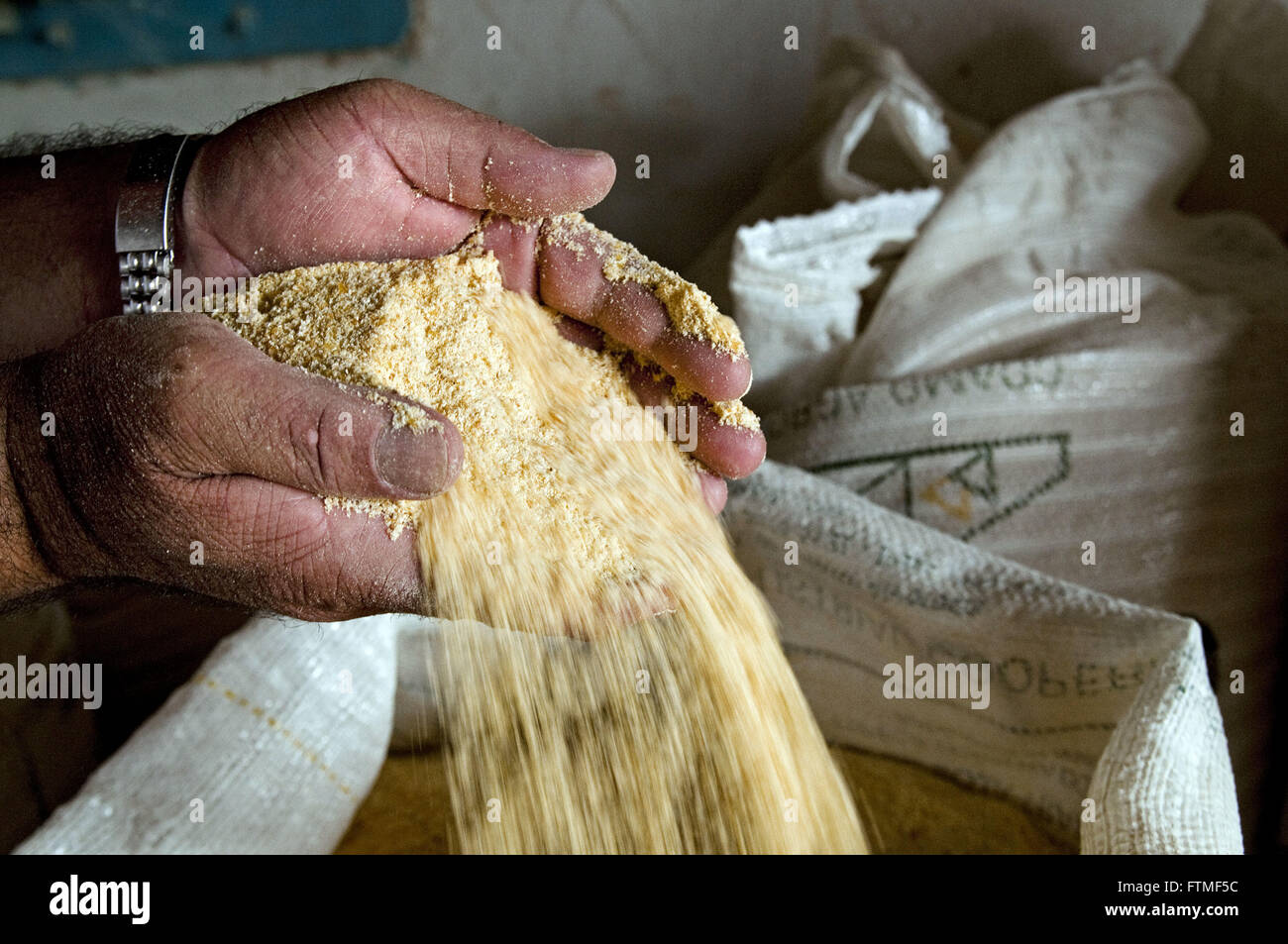 Mani con farina di mais utilizzato come mangime per animali Foto Stock