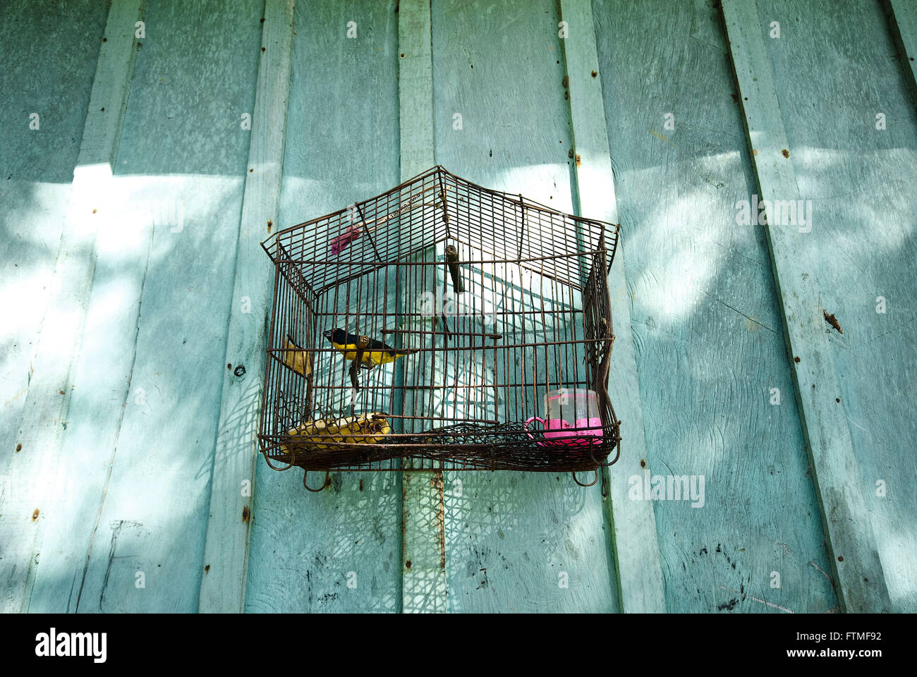 Gabbia per uccelli appesi al muro di casa Foto Stock