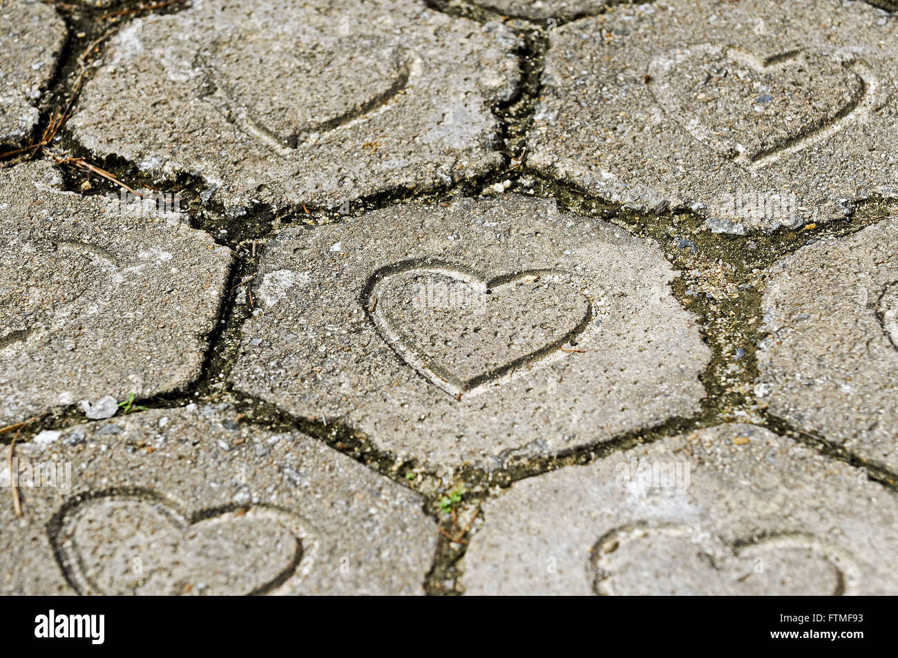 Ariri - Cananeo quartiere cittadino della costa meridionale di Sao Paulo membro Foto Stock