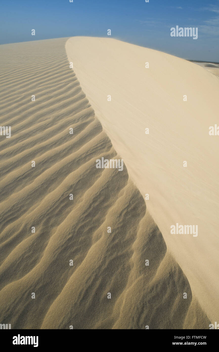 Parco Nazionale di Jericoacoara Foto Stock