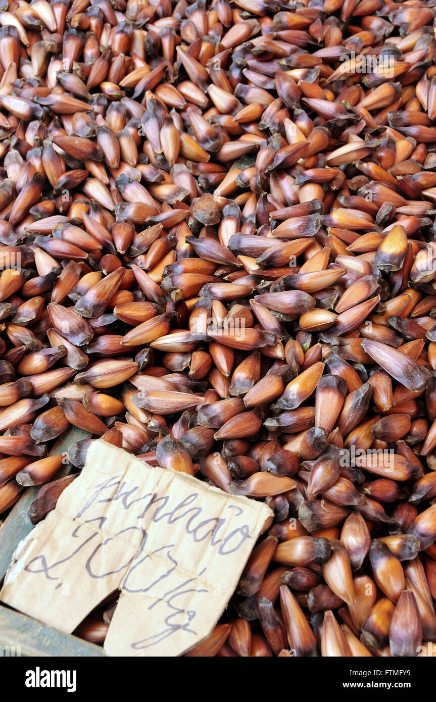 Commercio di pinoli sulla strada del mercato della città di Sao Lourenco Foto Stock