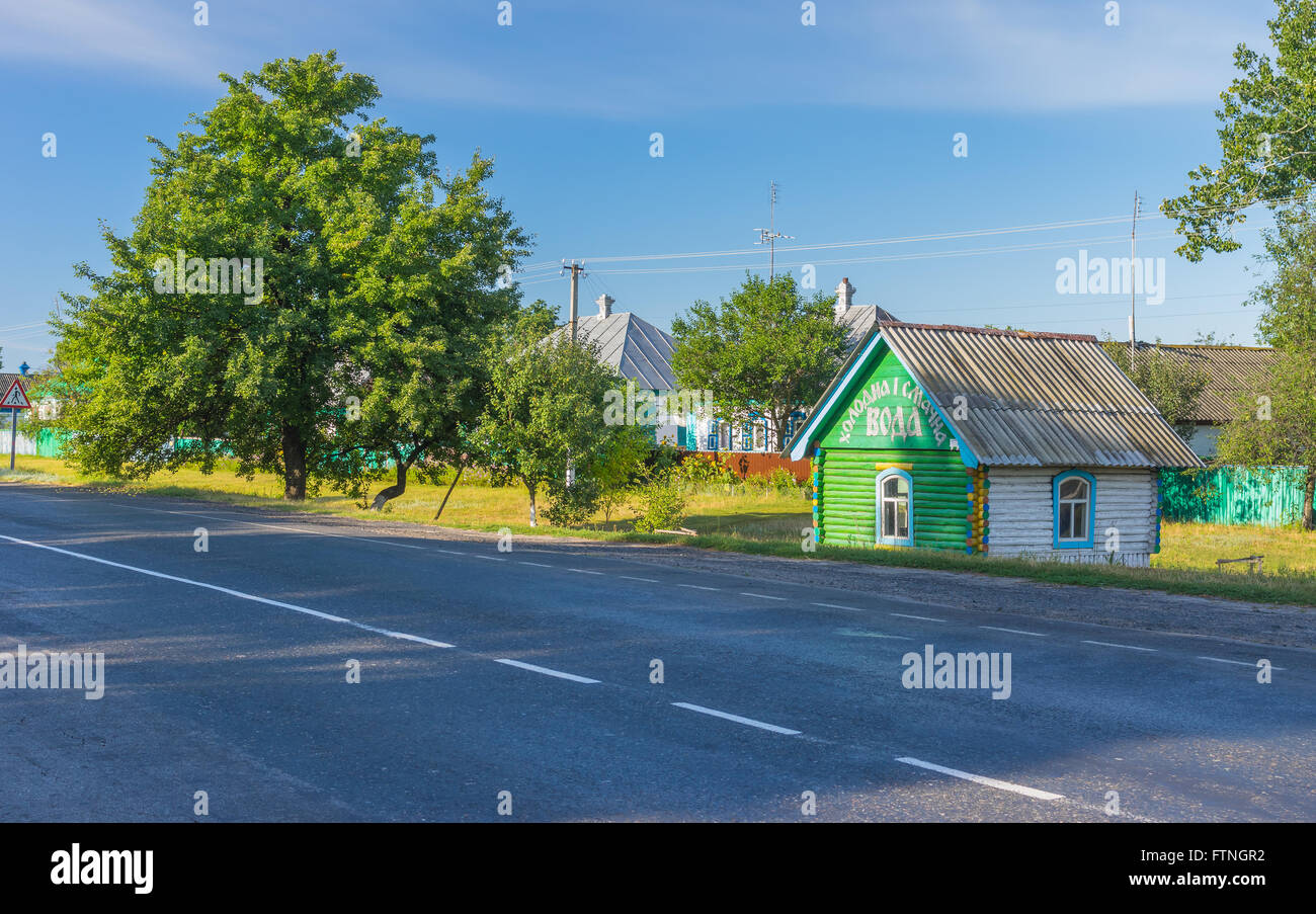 Paesaggio estivo con grande pera-tree e Draw e anche una piccola casa in legno a strada in Lyubka village, Ucraina Foto Stock