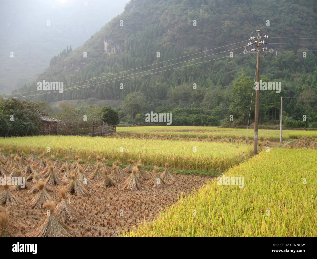 Yangshuo, Cina Foto Stock