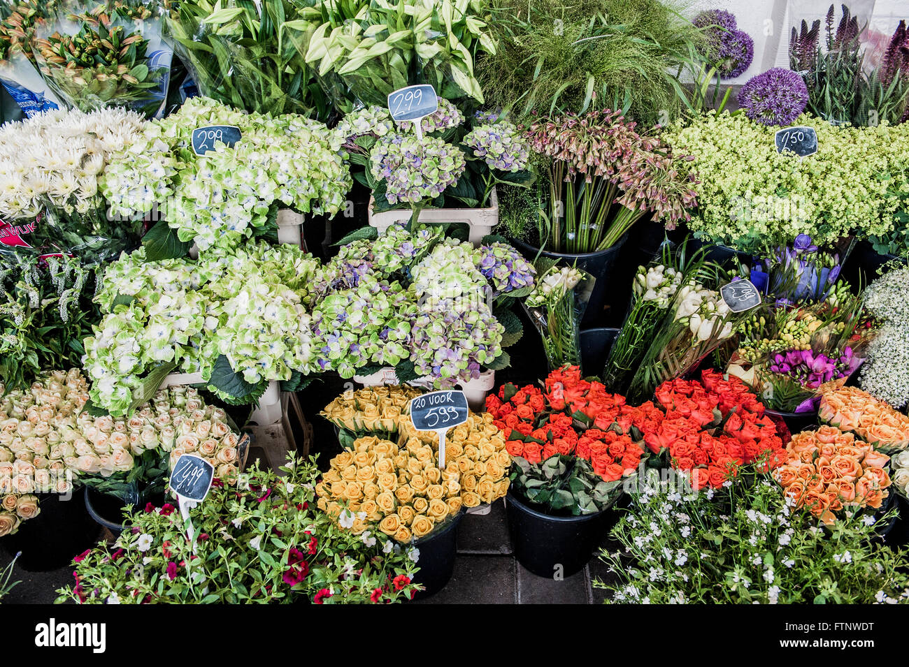 Hoorn, nei pressi di Amsterdam, Paesi Bassi. Il tipico negozio di fiori in una stazione ferroviaria. Paesi Bassi è il più grande produttore di fiori Foto Stock